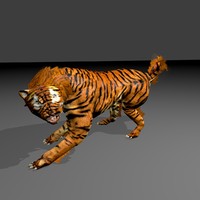3d saber cat model