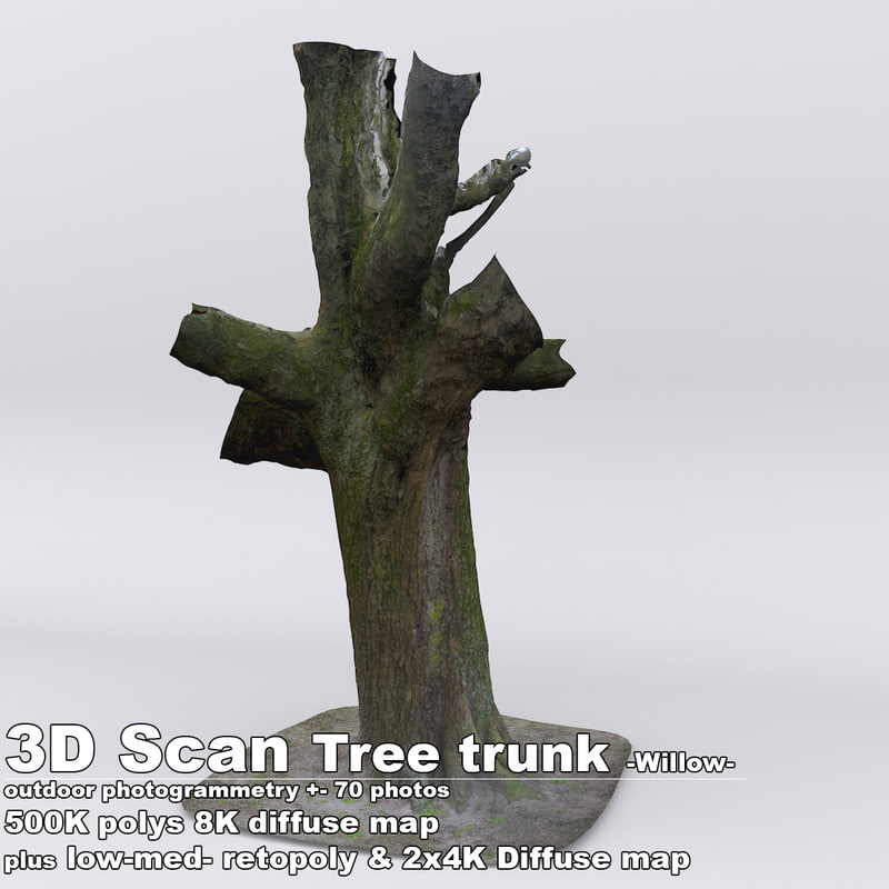 obj scan tree trunk