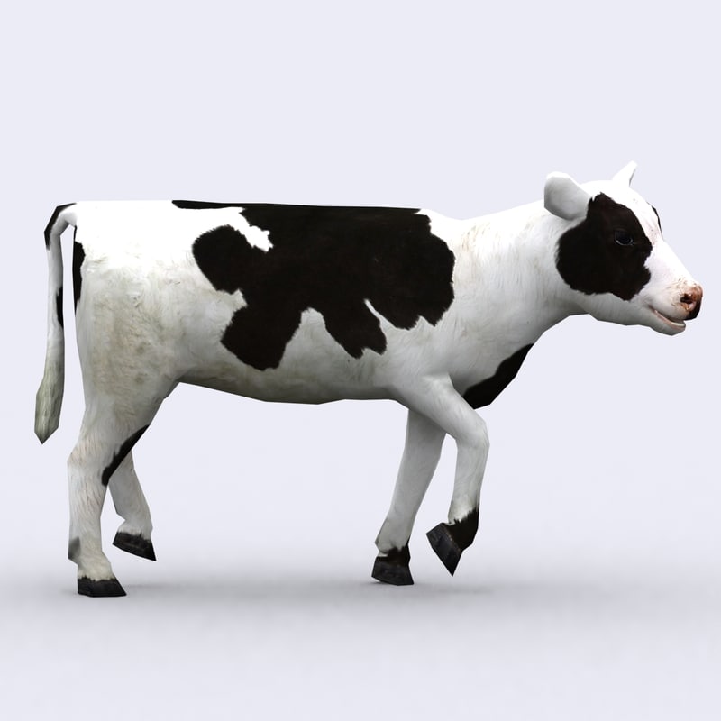 3ds max calf animations