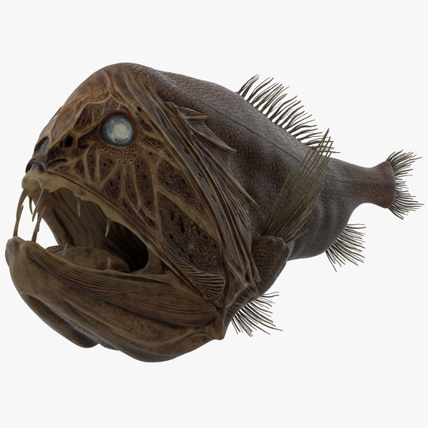 3d model fangtooth fish 2