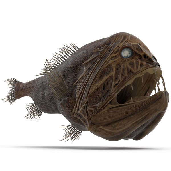 3d Model Fangtooth Fish 2