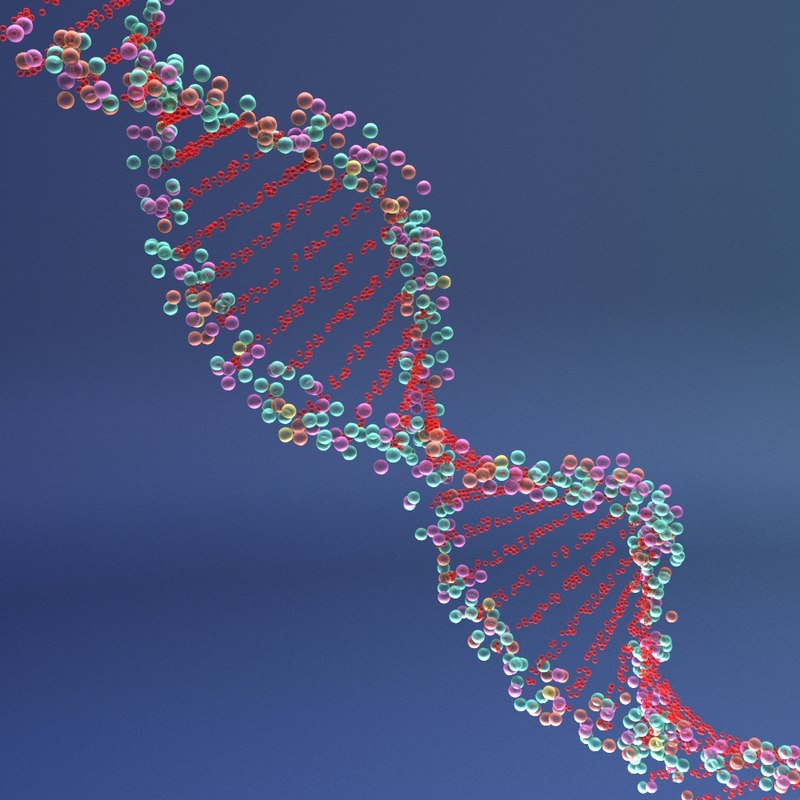 3d dna