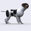 Dog 3d animation