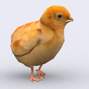 3ds max - chick