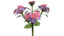 lantana flowering 3d model