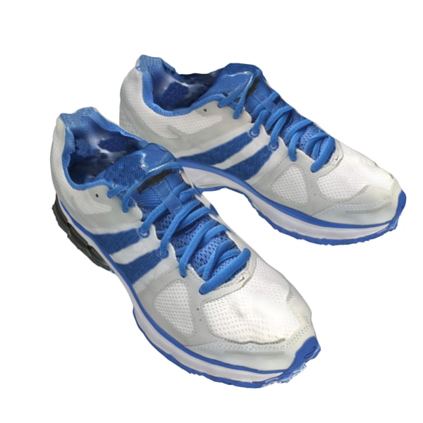 shoes 1 - sport 3d obj