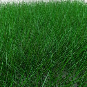 3d grass model