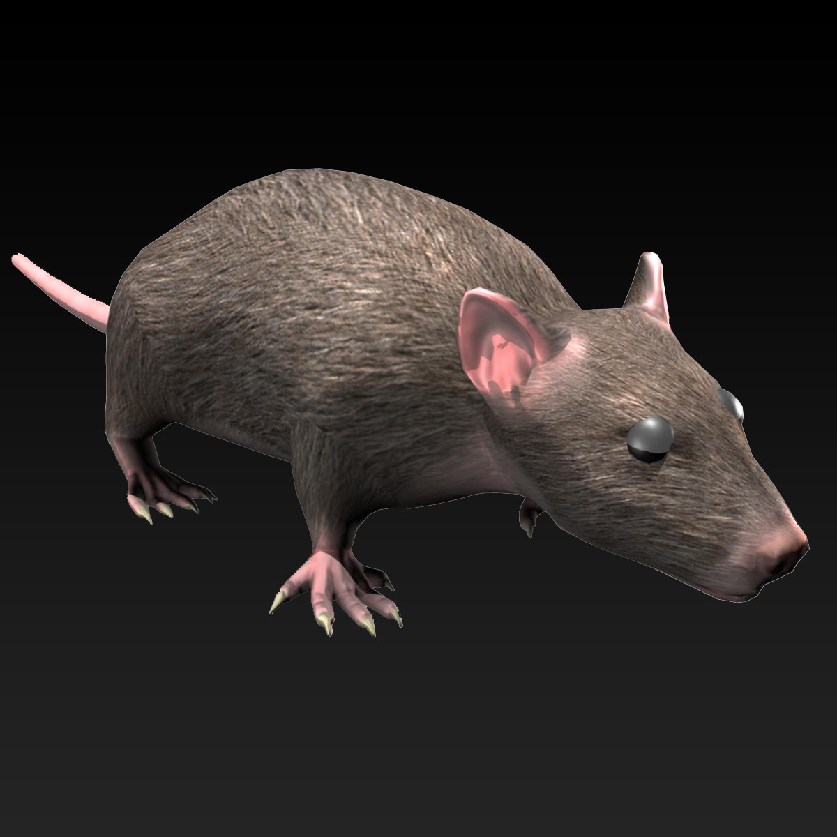 3d model rat rigged animation