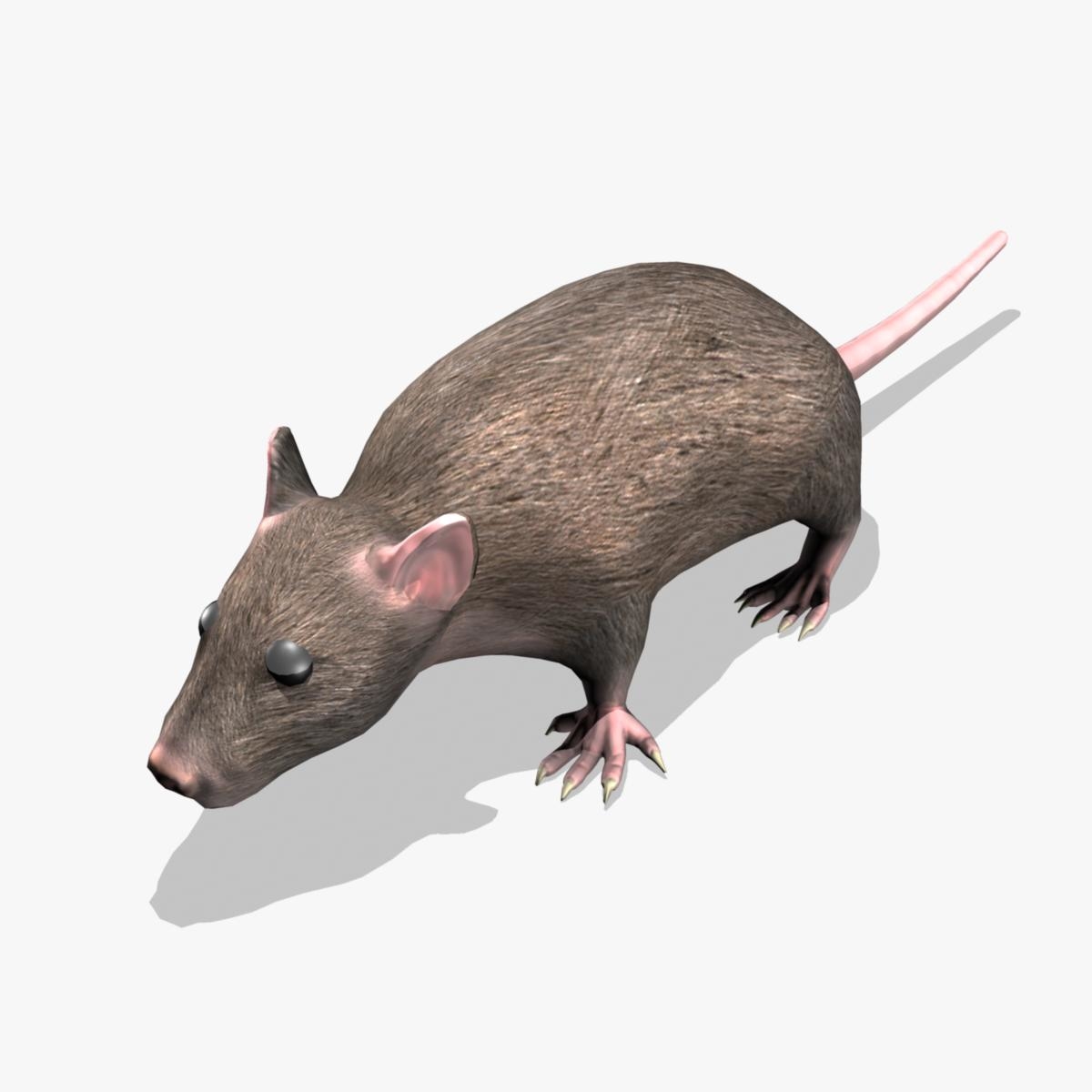 3d model rat rigged animation