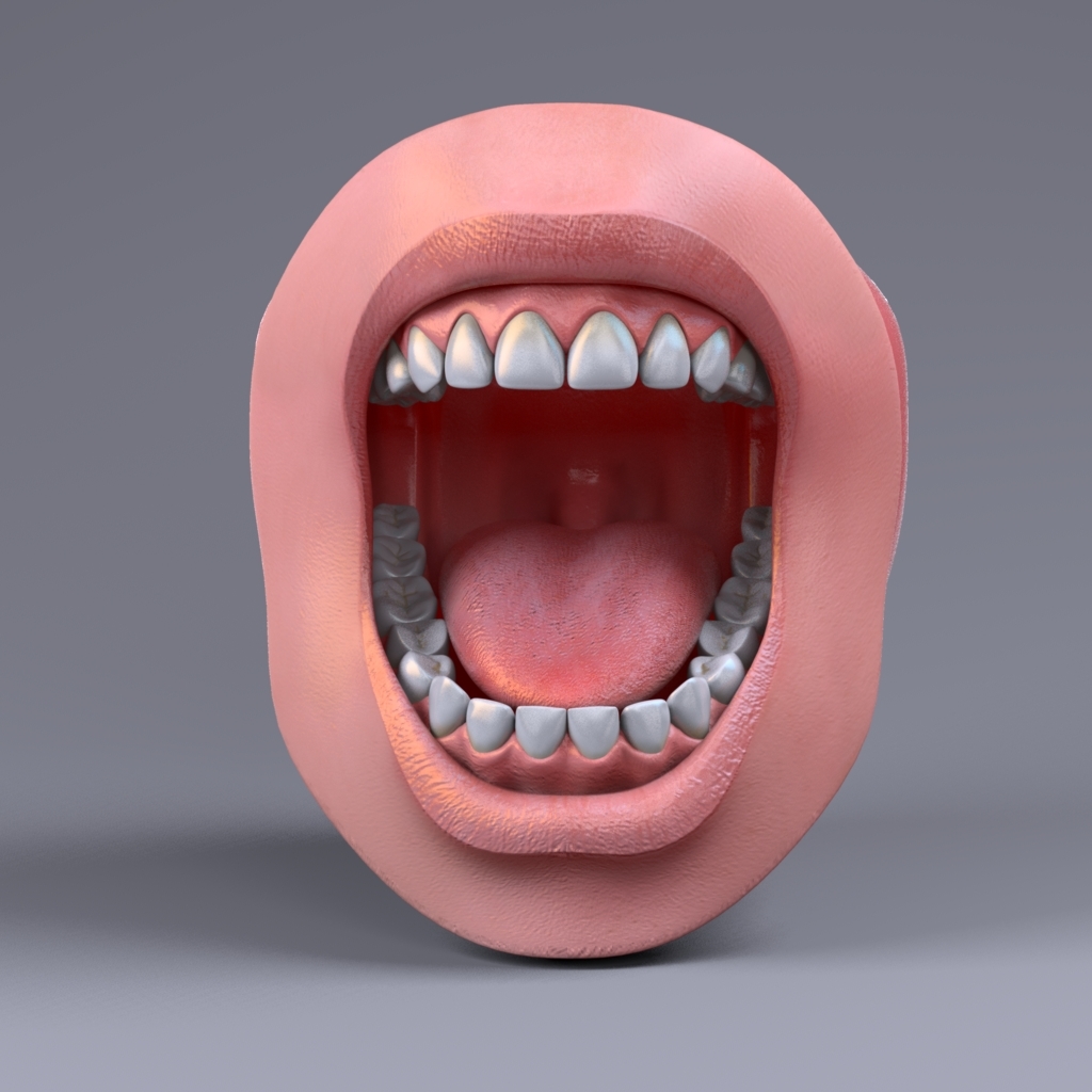 Inner Mouth 3d Model