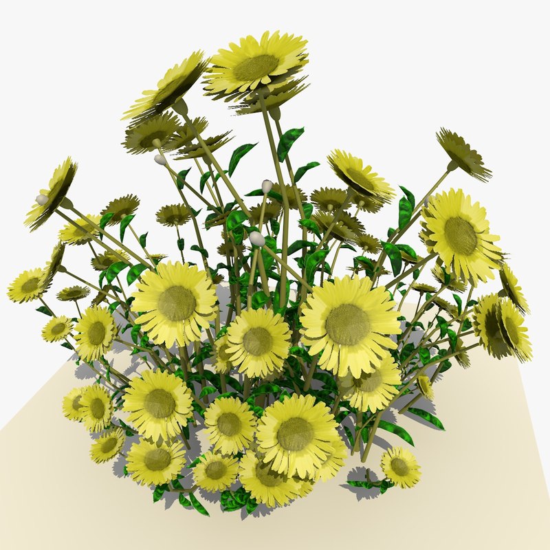 yellow daisy flowers 3d model