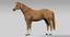 horse rigged fur model