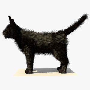 3d model black cat fur