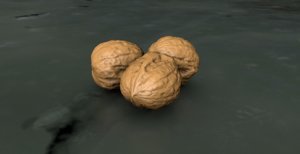 3d walnuts stone fruits model
