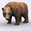 3d 3ds wild animals - bear