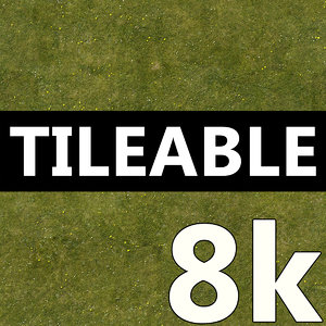 8K Grass Texture