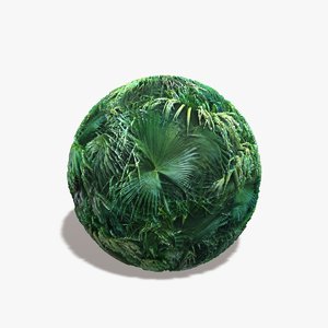 Jungle Background Seamless Texture