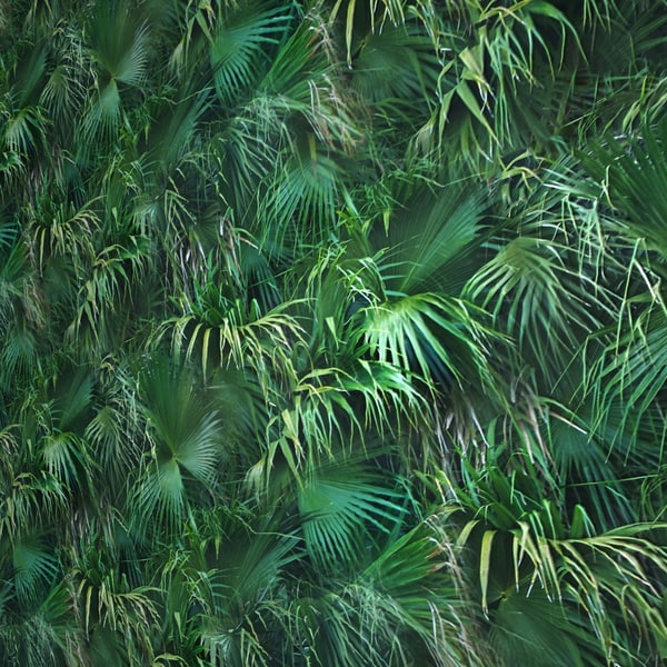 Texture jungle background wood