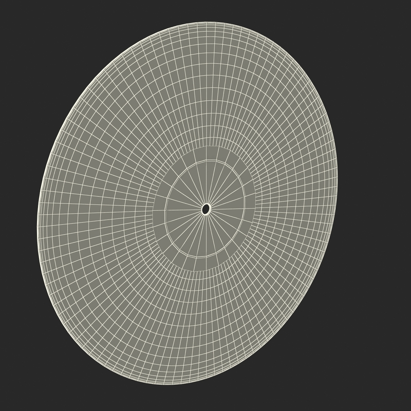 3d vinyl modeled realistic model