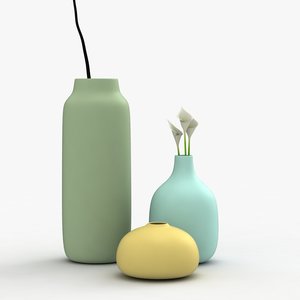 modern vases flowers 3d model
