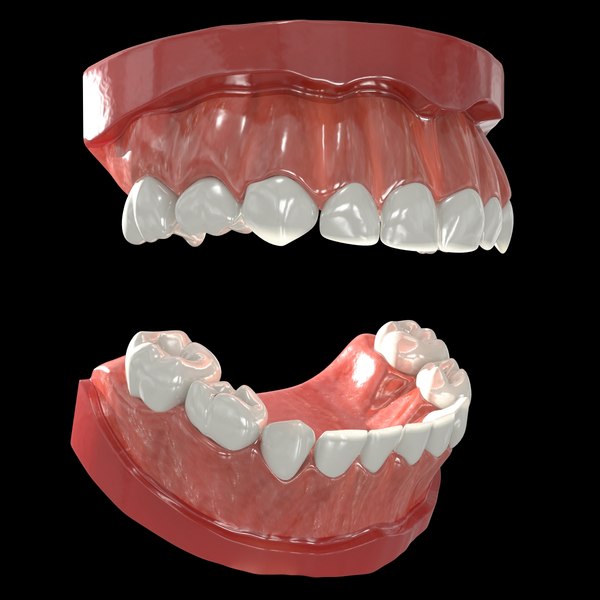 3ds human primary teeth gums
