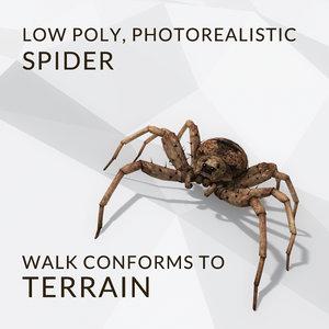 3d model spider walk