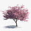 3d japanese sakura tree bark