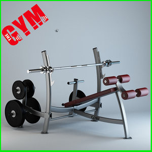 olympic decline press weight 3d model