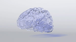 brain glass cool obj free