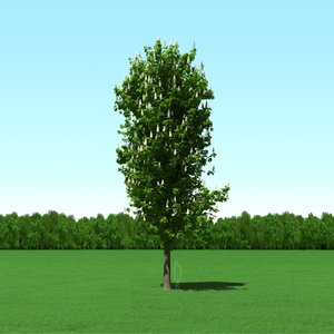trees modelling 3d max