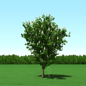 trees modelling max free