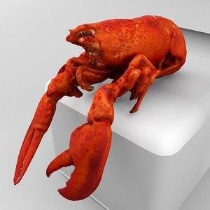 3d model cooked lobster