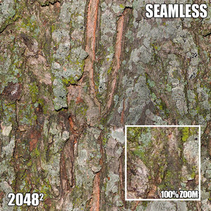 2048 Seamless Bark Texture V