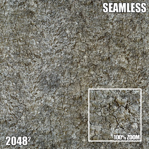 2048 Seamless Bark Texture VII