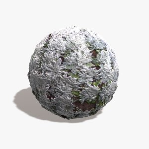 Fern Plants Seamless