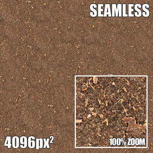 4096 Seamless Texture Dirt I