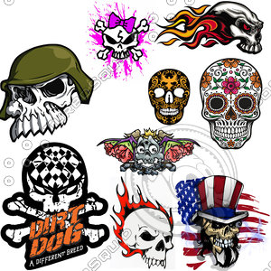 Skull Car Sticker/Decal Collection