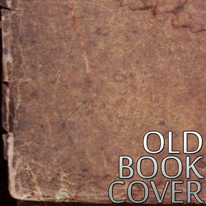 Old Steampunk Book Cover Texture V