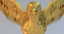 golden eagle 3d 3ds