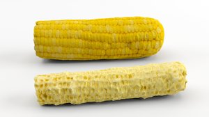3dm realistic corn corncob
