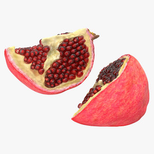max pomegranate slice modeled