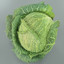 3d model savoy cabbage