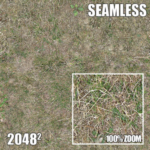2048 Seamless Dirt/Grass 22