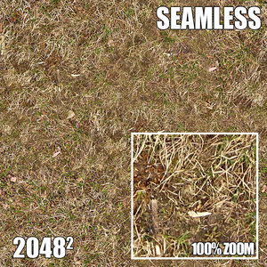 2048 Seamless Dirt/Grass 35