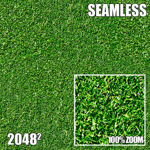 2048 Seamless Dirt/Grass 37
