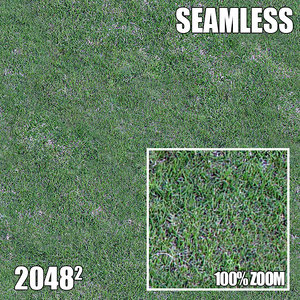 2048 Seamless Dirt/Grass 39