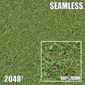 2048 Seamless Dirt/Grass 27
