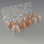 3d model egg carton