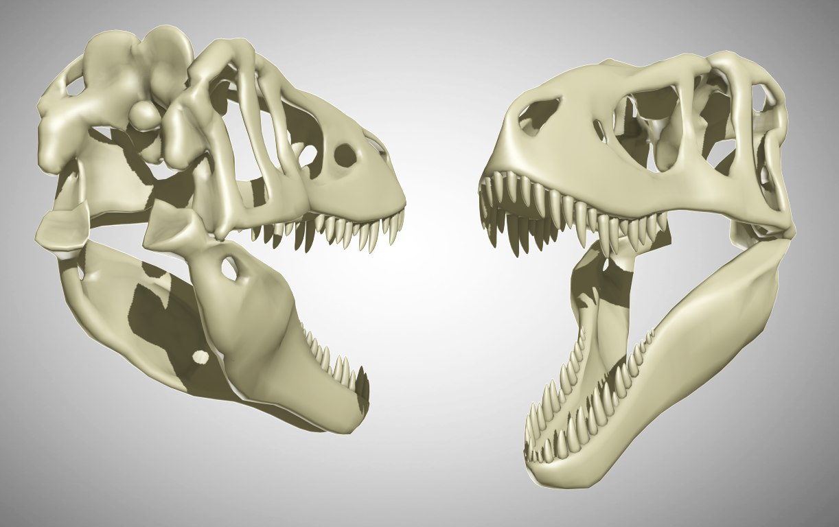 tarbosaurus bataar max
