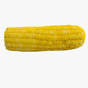 3d model realistic corn